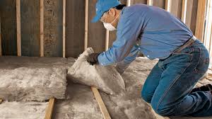 Best Eco-Friendly Insulation Solutions  in Lanster, CA